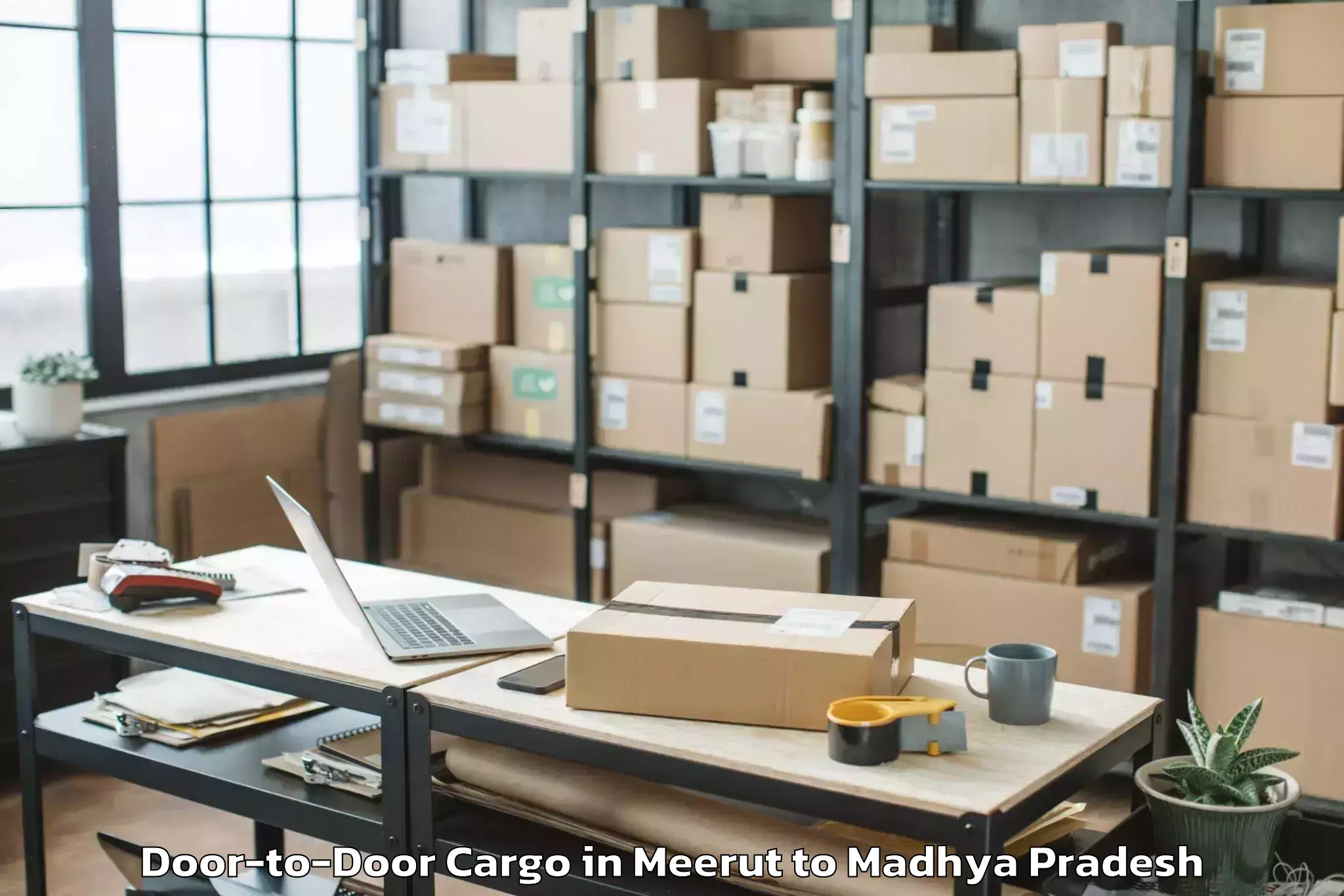 Efficient Meerut to Kolaras Door To Door Cargo